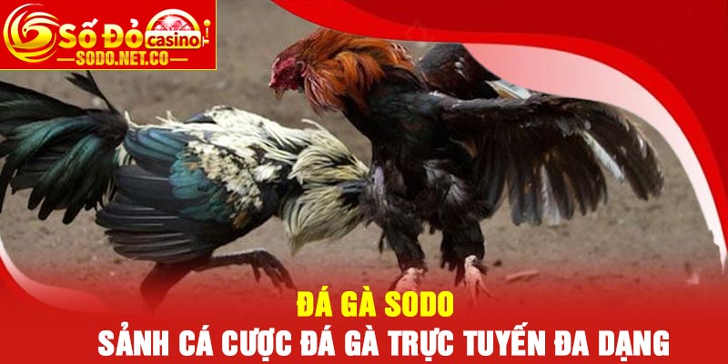 Đá Gà Sodo Sảnh Cá Cược Đá Gà Trực Tuyến Đa Dạng