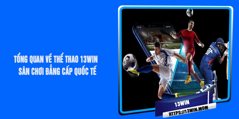 Tổng Quan Về Thể Thao 13Win – Sân Chơi Đẳng Cấp Quốc Tế